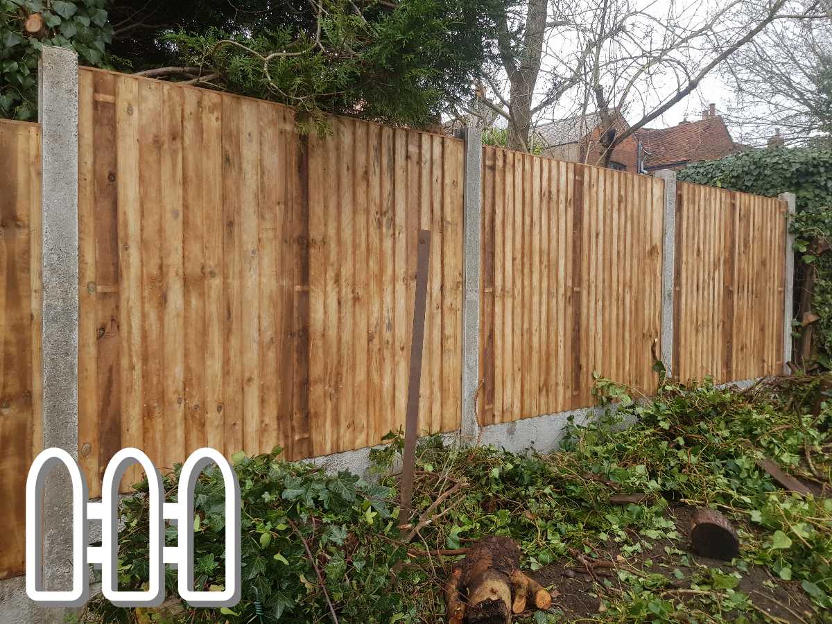 New wooden fence panels installed in a garden with overgrown greenery and cut logs on the ground