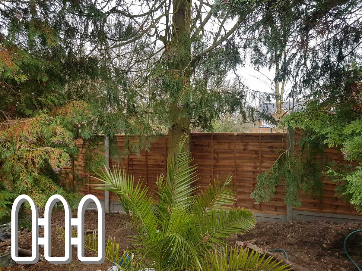 Wooden garden fence installed in a backyard surrounded by various trees and a palm plant in the foreground