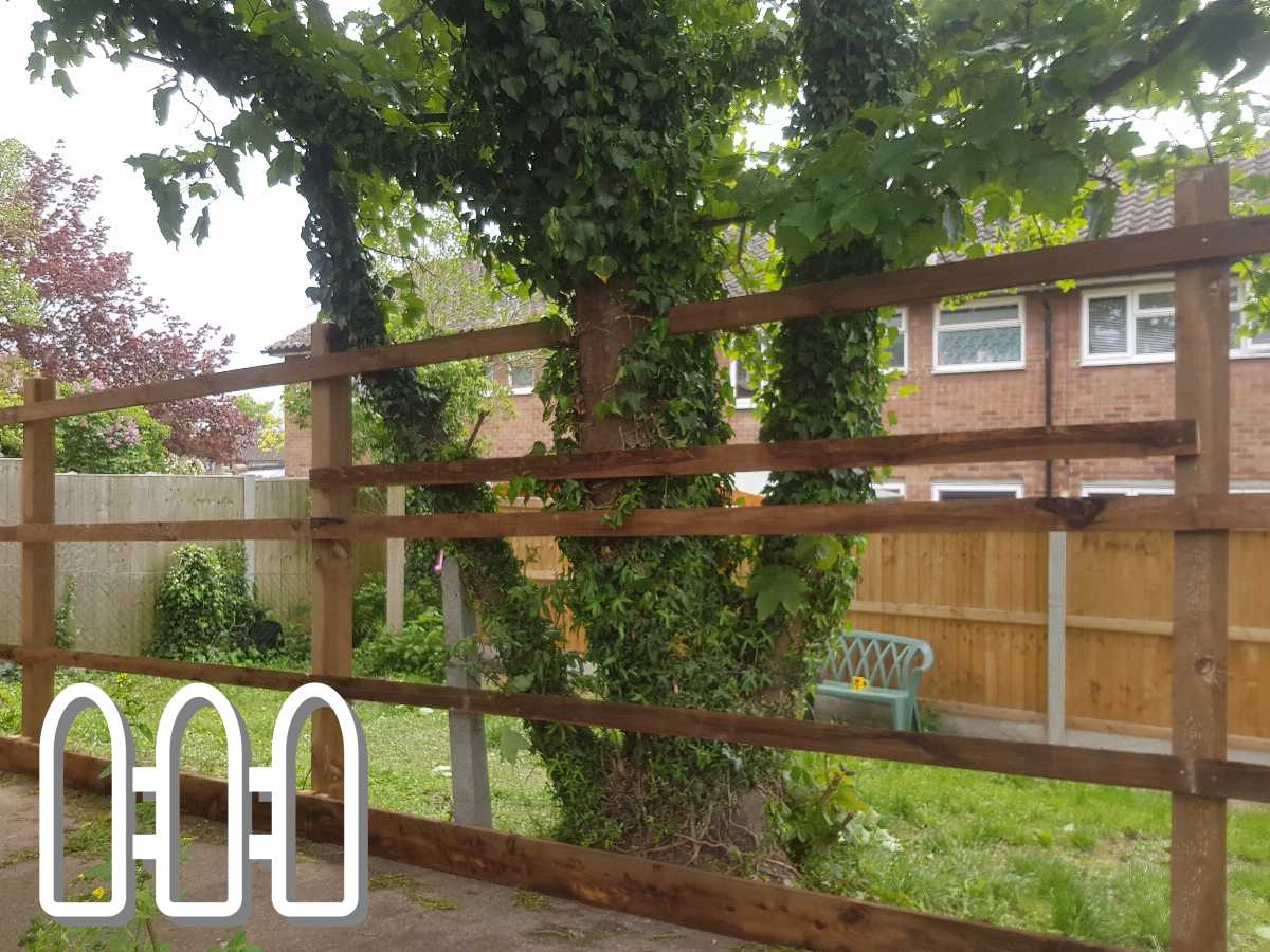 Rustic wooden fence with interlacing green ivy in a residential garden