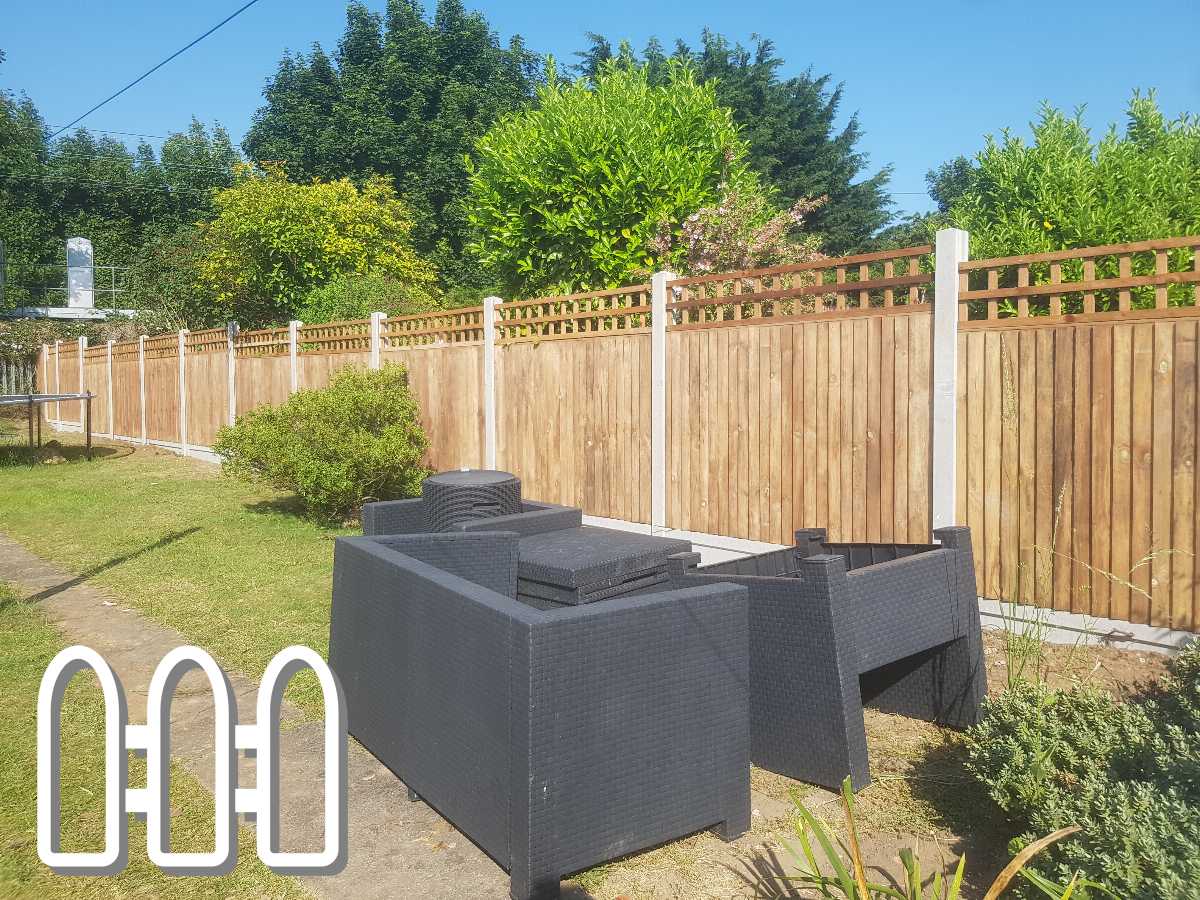 Beautifully installed wooden fencing in a sunny backyard with lush greenery and a modern black rattan garden furniture set.