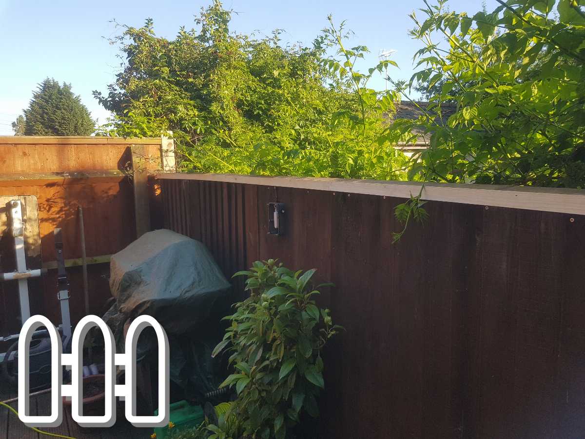 A sturdy brown wooden fence in a backyard, partially covered by lush green bushes with a covered barbecue and garden equipment.