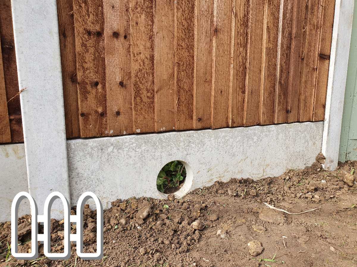 Close-up view of a garden fence segment showing wooden panels with a concrete base featuring a round hole, surrounded by disturbed soil and small green plants peeking through.