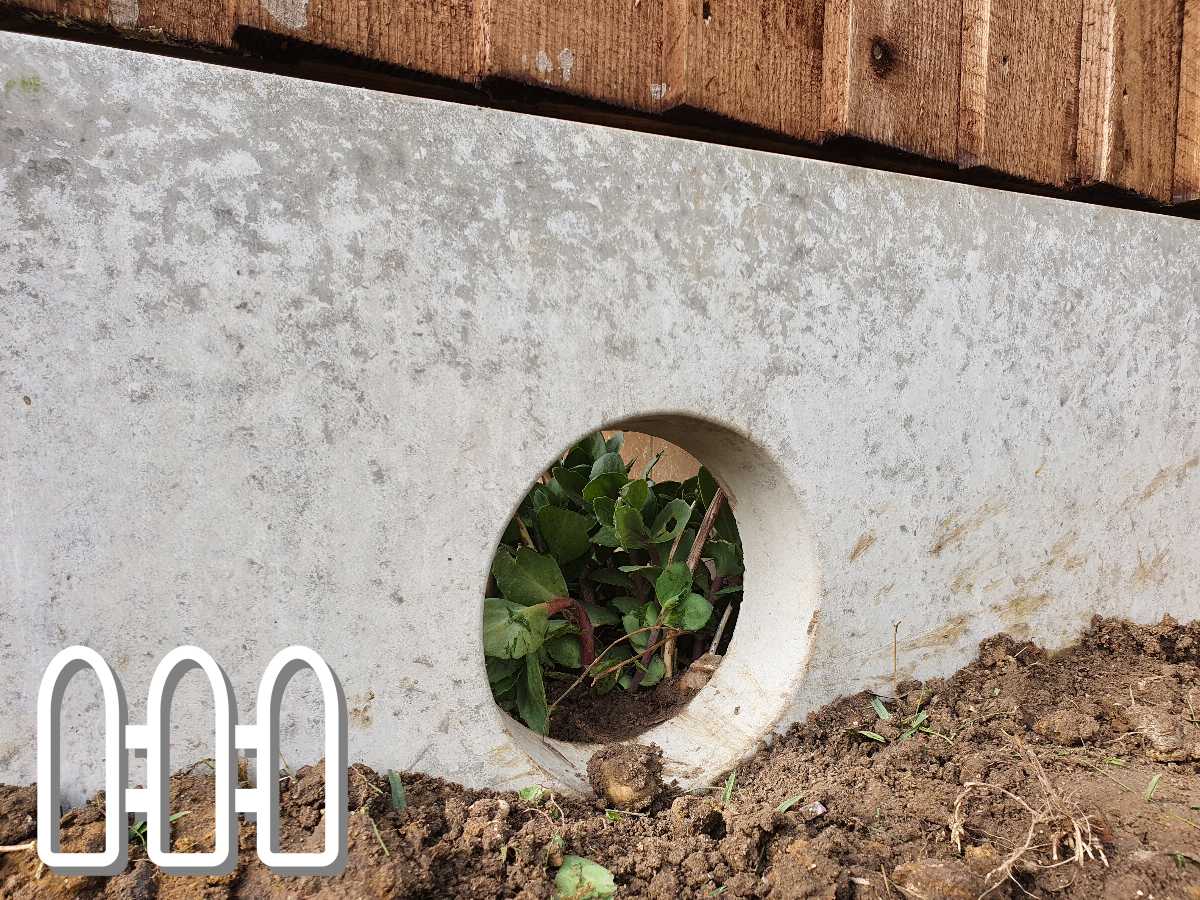 A round hole in a grey concrete base with a wooden fence above, showing foliage peeking through from behind