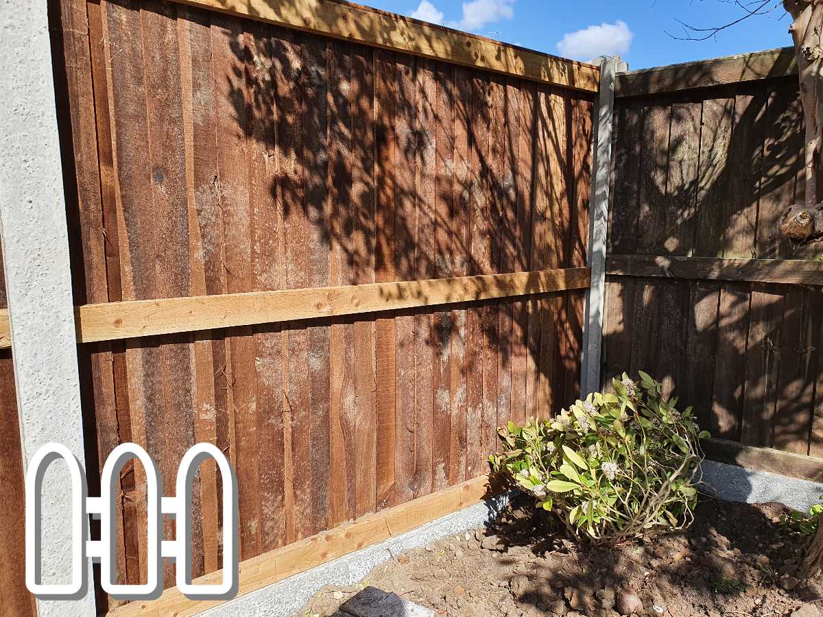 Sunlit wooden garden fence partially repaired, showing old and new wooden panels with a small plant at the base.