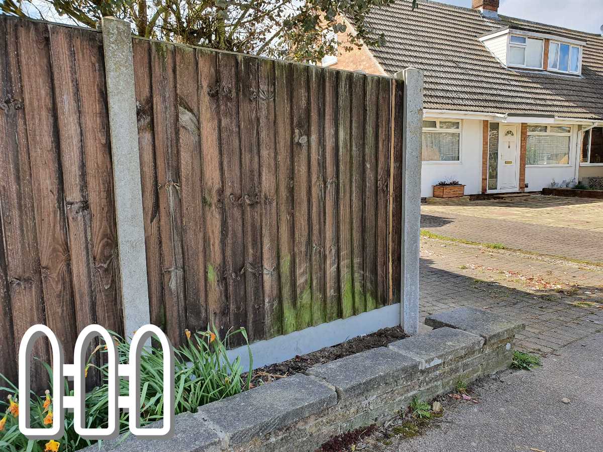 Weathered wooden fence with visible green moss growth near a residential driveway, featuring blooming yellow daffodils and a suburban home in the background