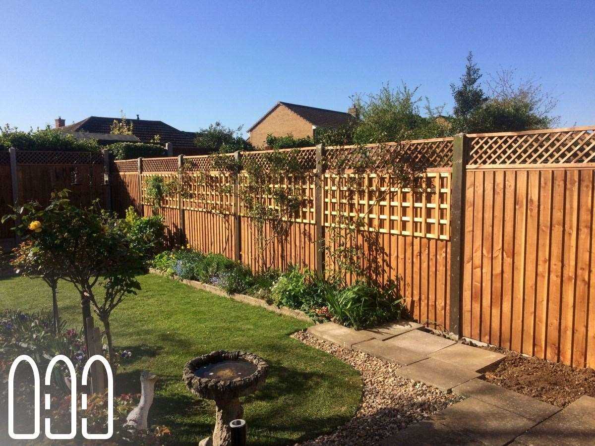 Fence Panel Replacement